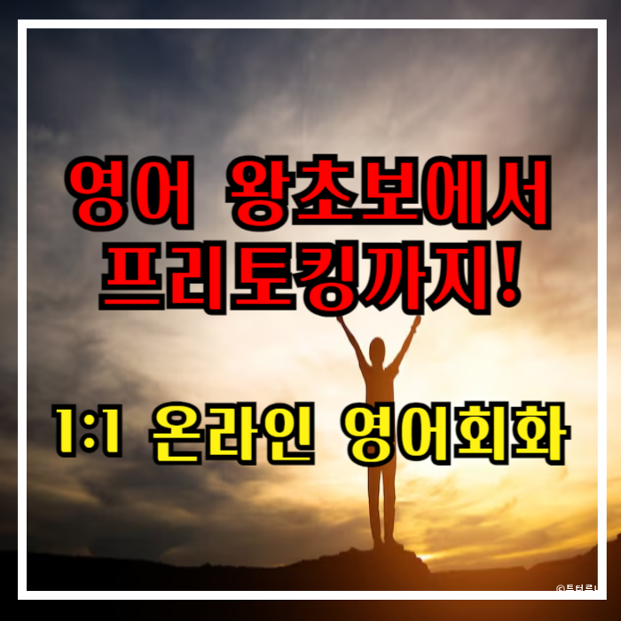  영어 왕초보에서 프리토킹까지, 디에스 잉글리시와 1:1 온라인영어회화