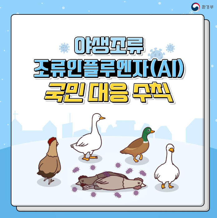  야생조류 조류인플루엔자(AI) 국민 대응 수칙