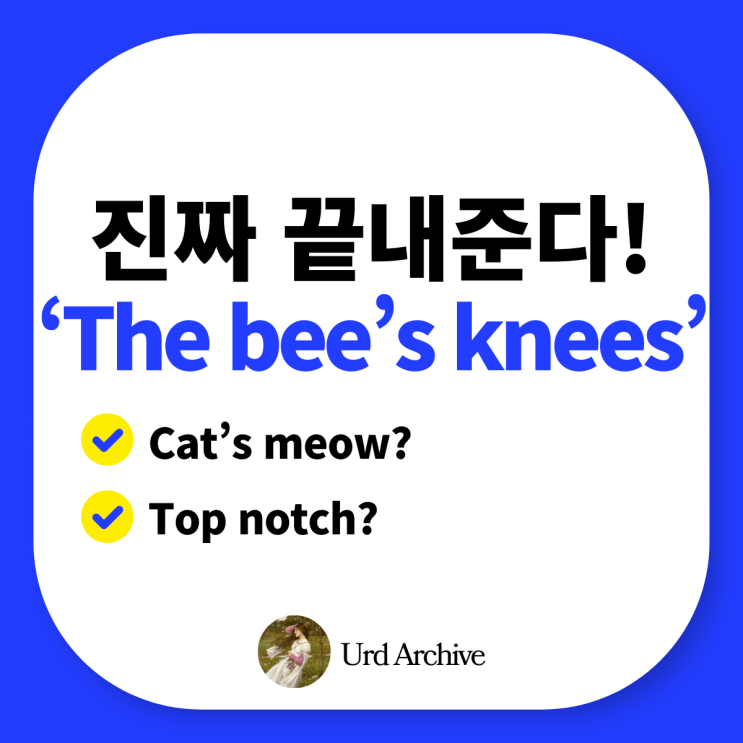  The bee's knees - 꿀벌 무릎? 최고의 것을 뜻하는 영국식 영어 표현