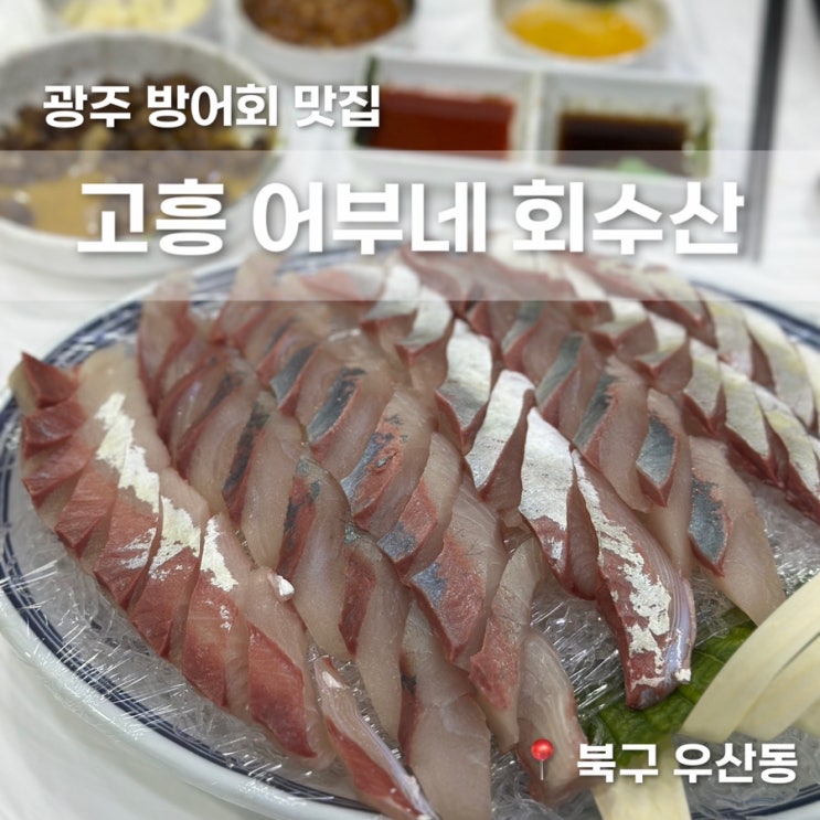  광주 방어회 고흥어부네회수산 가성비 맛집 내돈내산