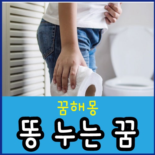 똥 누는꿈 똥 닦는꿈 똥 만지는 꿈 똥 꿈 해몽