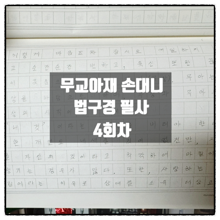 무교아재 손대니 법구경 필사 4회차 내것이라는 생각을 버려야 산다 무교아재 손대니 법구경 필사 4회차 내것이라는 생각을 버려야 산다