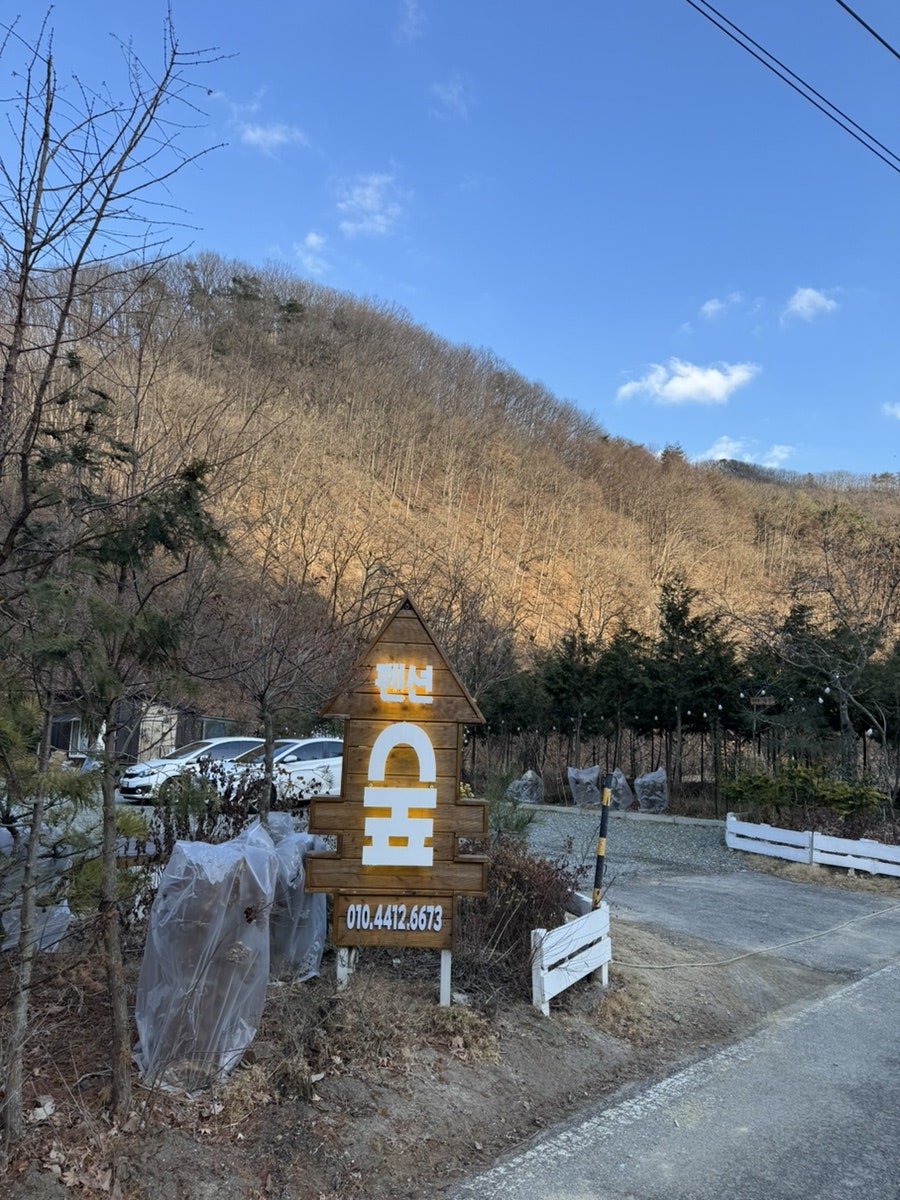 펜션숲 사진 1