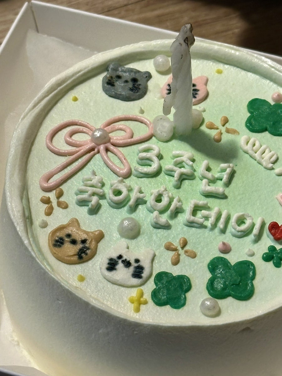 코멜리 사진 5