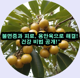  용안육은 불면증을 해결하는 자연의 비밀!