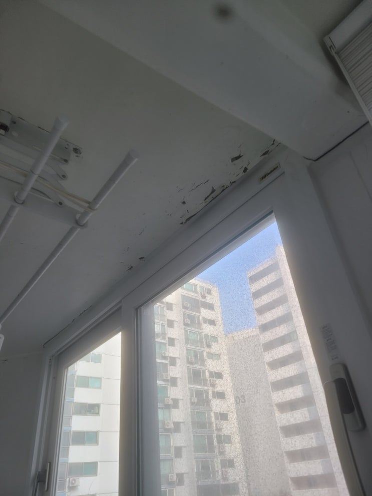  ( 서울 탄성코트 ) 성동구 행당동 신동아 아파트 베란다 곰팡이 탄성코트 시공후기