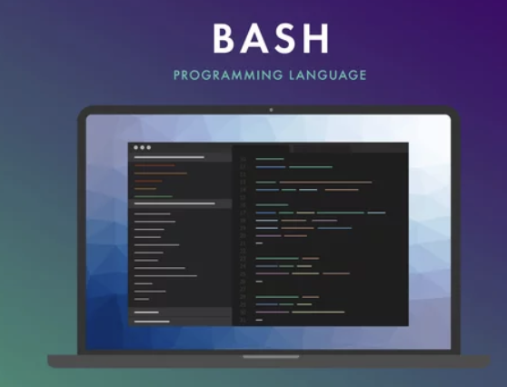  BASH 셸 언어 특징 :UNIX/Linux 사용자 필수 가이드