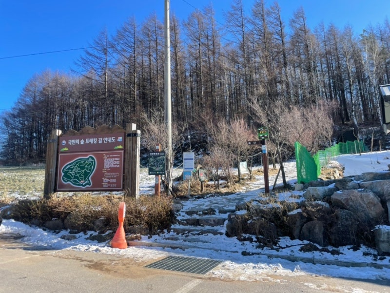 사진 4