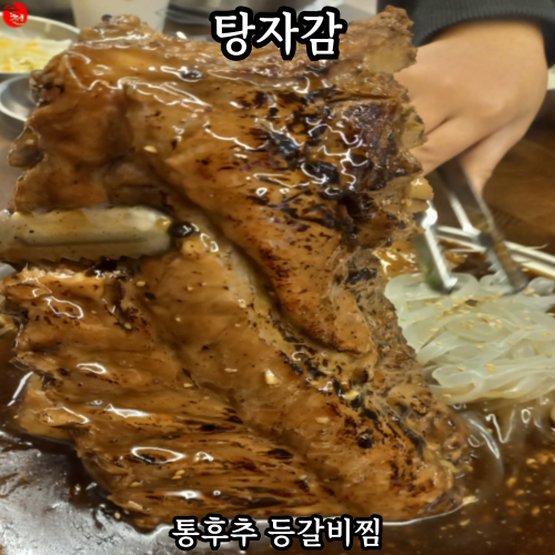 제주 연동 맛집 핫플 매콤한 통후추 등갈비찜 탕자감