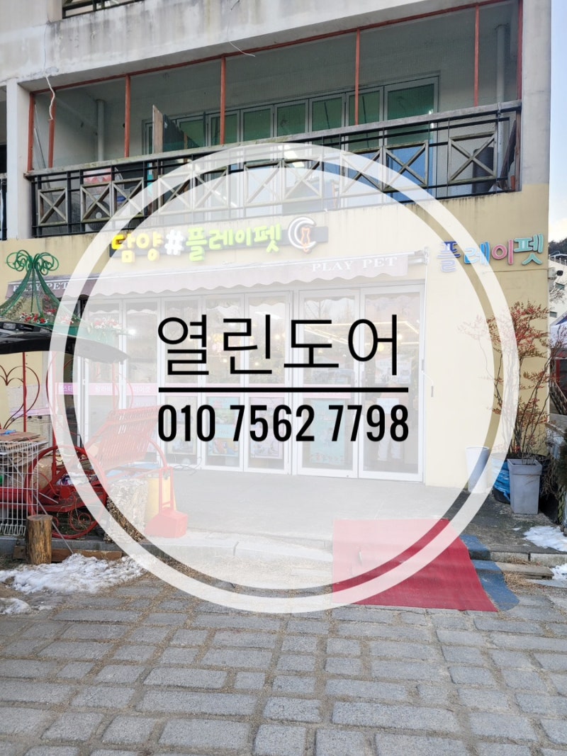 사진 4