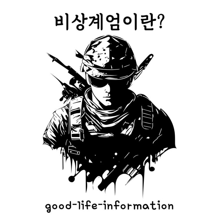 비상계엄이란 무엇일까요? 비상계엄이란 무엇일까요?
