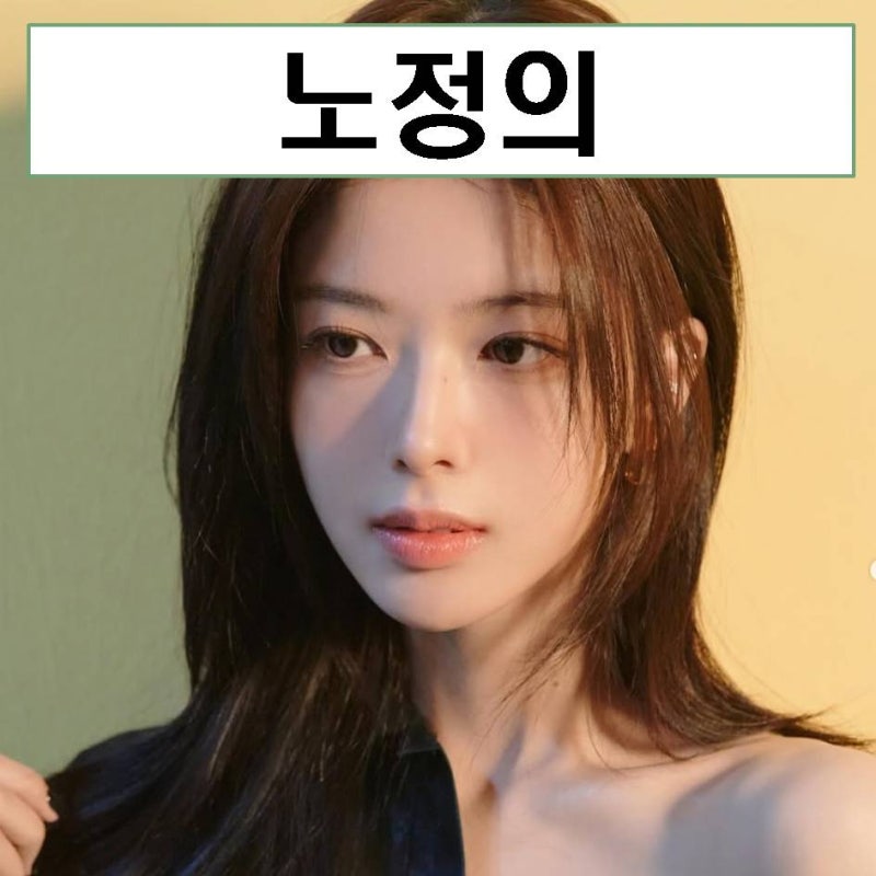 노정의 프로필 나이 드라마 아역 성형 움짤 MBTI 키 몸무게
