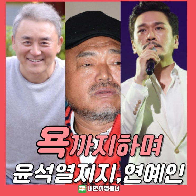 욕하는 <b>윤석열</b> 공개<b>지지</b> 연예인 <b>최준용</b>, 김흥국과 캐나다인... 