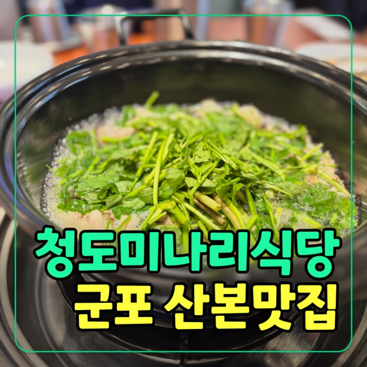  [군포] 산본역 샤브샤브 추천! ‘청도미나리식당’ 건강한 맛집 솔직 후기