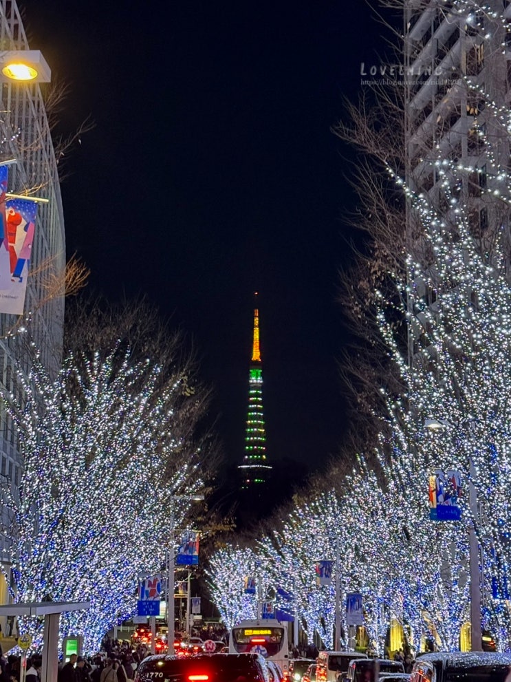  [23.12 Tokyo, Japan] 일루미네이션을 곁들인 크리스마스 도쿄  3일차 (도쿄타워 포토존, 롯폰기 일루미네이션)