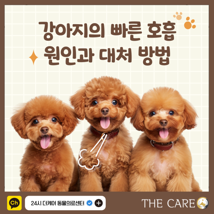 강아지의 빠른 호흡 원인과 대처방법