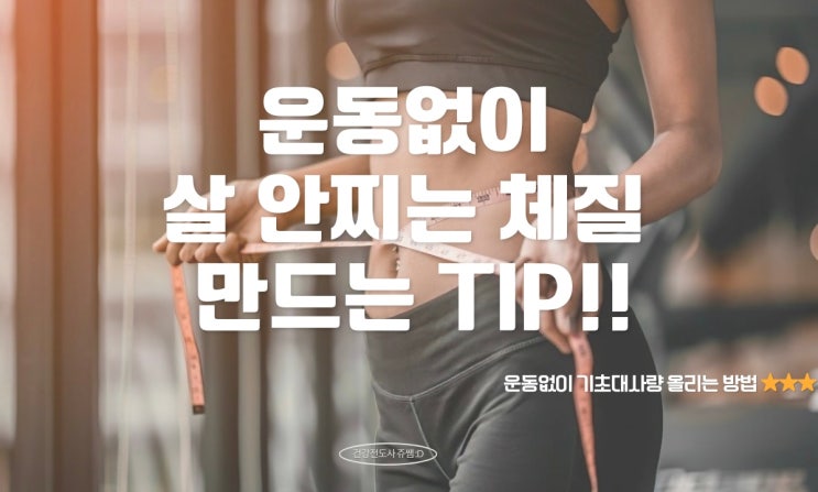  운동 없이 살 안찌는 체질 만들기 다이어트 성공 꿀팁 기초대사량 올리는 법