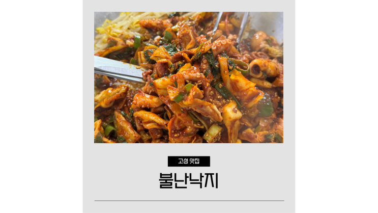 경남 고성 맛집 불난낙지 고성군청 공룡시장 근처 현지인 점심 맛집 경남 고성 맛집 불난낙지 고성군청 공룡시장 근처 현지인 점심 맛집
