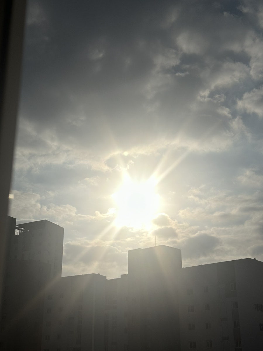 양철북 세종고운점 사진 5