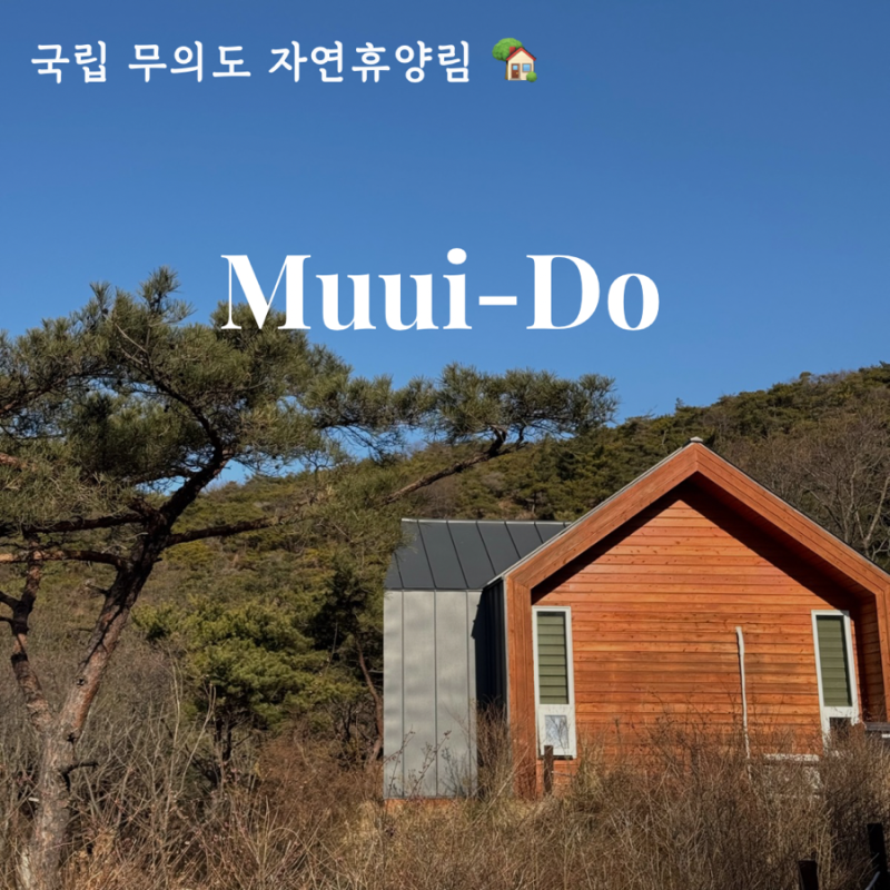 국립 무의도 자연휴양림 숲속의집 소이작도 예약 성공! 숙박 후기