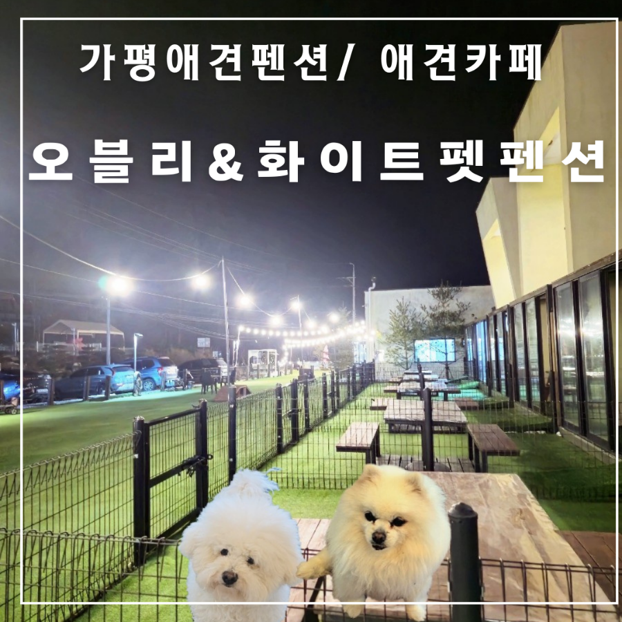 청평화이트펜션 사진 1