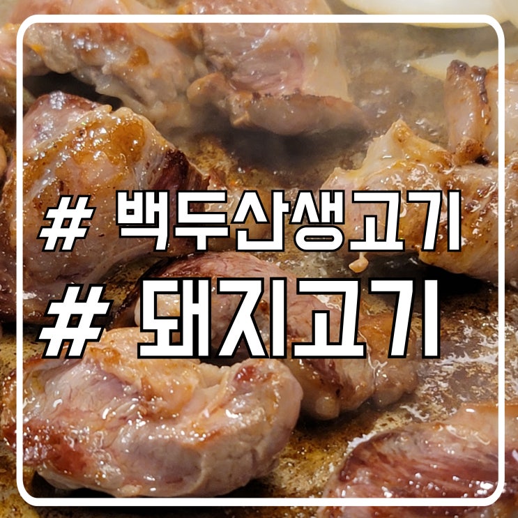  시흥 본오동삼겹살 맛집 상록수역고기집 간천엽을 주는 백두산생고기