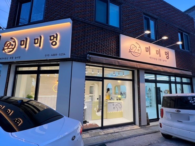  대구 동구 신암동 애견미용 미미멍