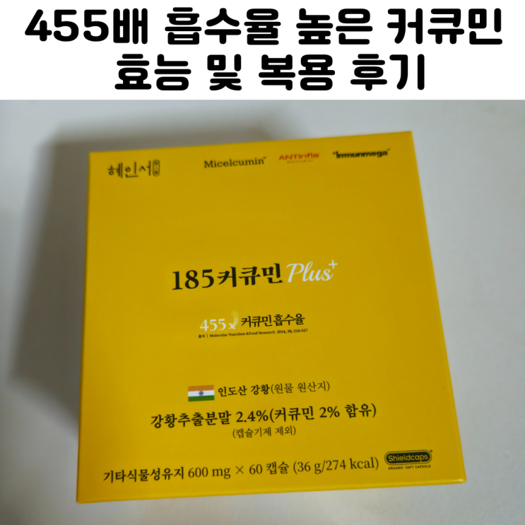  한의사 커큐민 복용 효능 후기