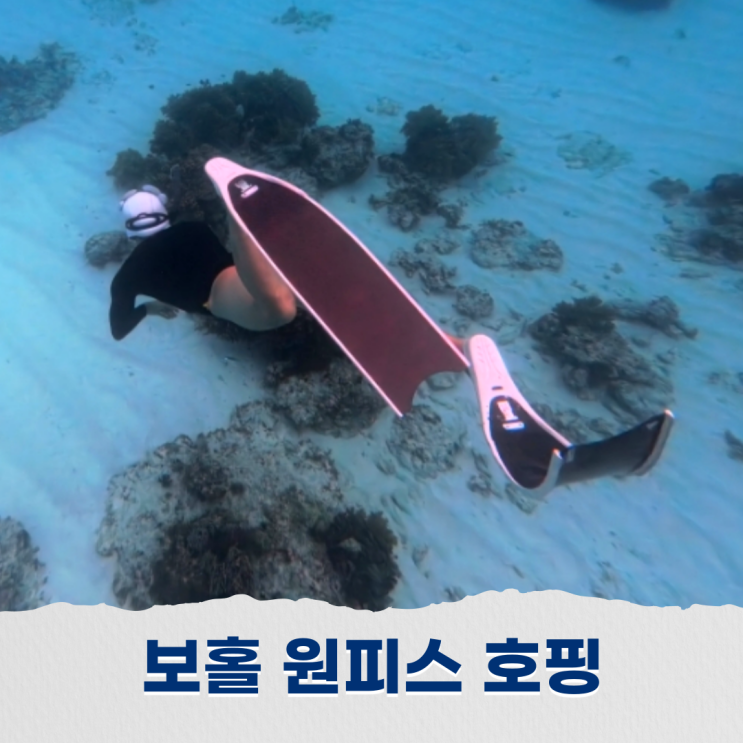  보홀 호핑투어 원피스 컨셉의 특별한 바다여행 스노쿨링 추천