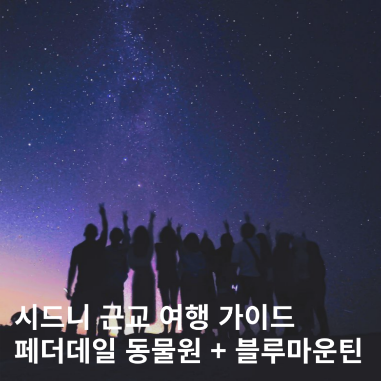  시드니 블루마운틴 투어 페더데일 동물원 당일치기 추천 줌줌투어 예약