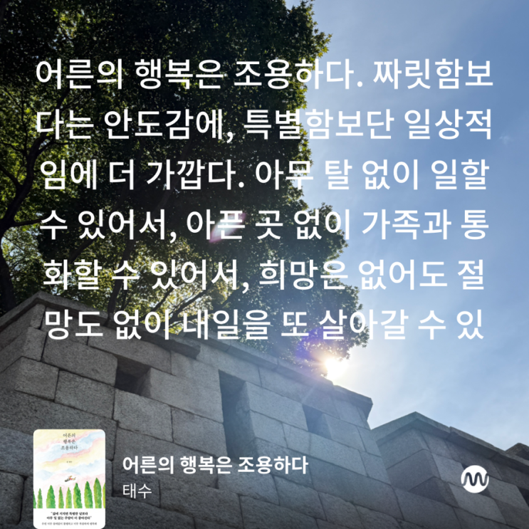  <어른의 행복은 조용하다> 태수 저자 _희망은 없어도 절망도 없이 내일을 또 살아갈 수 있어서 행복할 수 있는 게 지금의 내 삶이다.