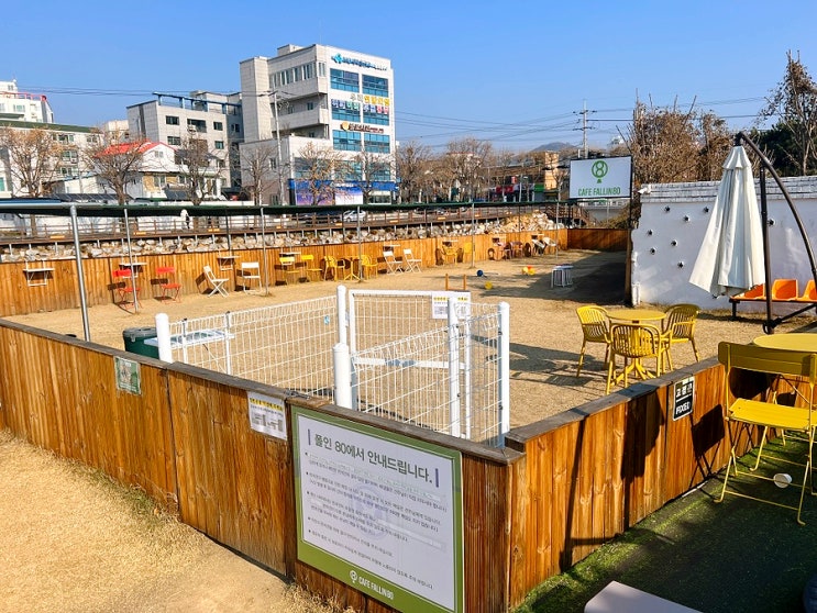  대구동구애견카페 넓은 야외운동장 있는 폴인80