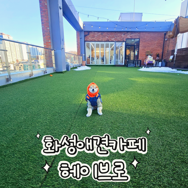 사진 3