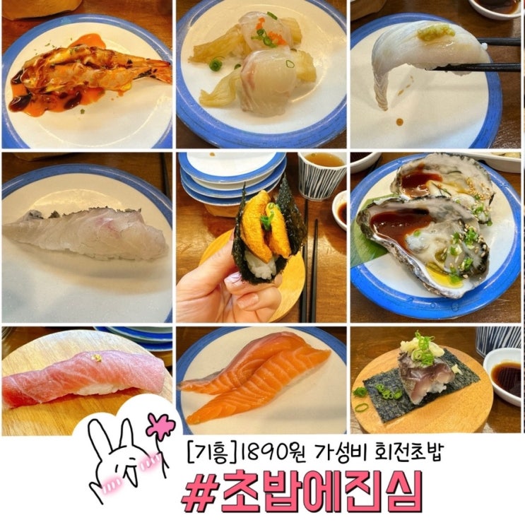  용인 기흥구청 추천받은 한 접시 1890원 가성비 회전 초밥집 초밥에 진심 내돈내산후기
