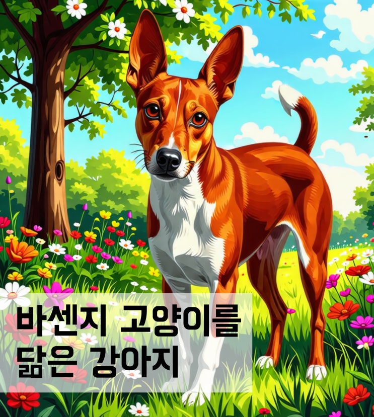  바센지 고양이를 닮은 강아지 특징