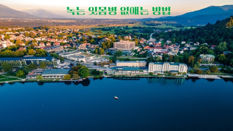  녹는 잇몸병 없애는 방법