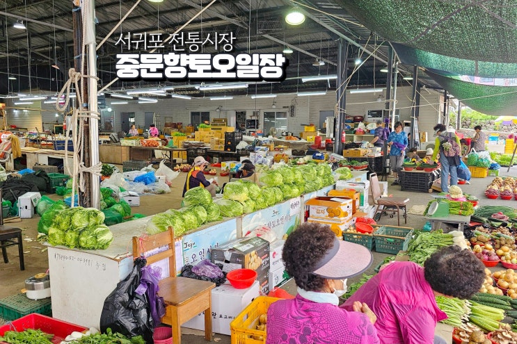  제주도 전통시장 제주 민속 5일장 서귀포 중문 오일장