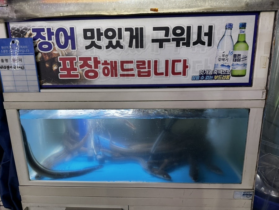 장어나라 사진 2