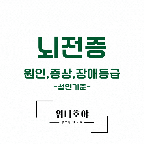 뇌전증 원인과 증상, 치료제, 장애등급 진단