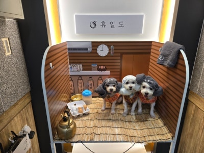사진 3