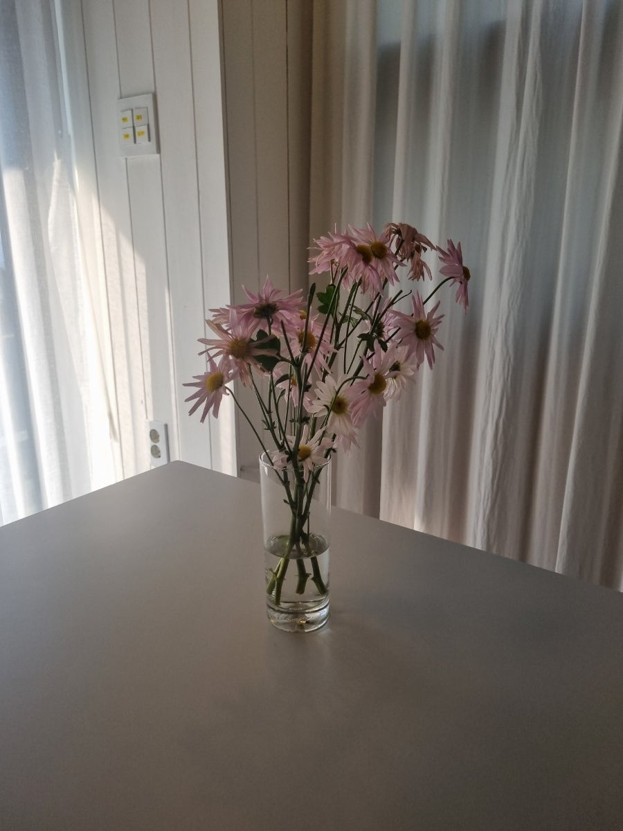 카페이오 사진 4