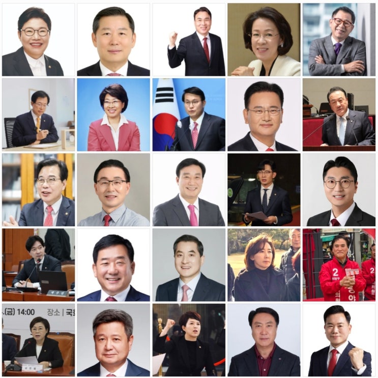 윤석열 대통령을 지킨 <b>국민의 힘</b> 의원 44명은 누구? 프로필