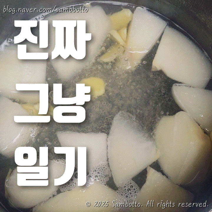  진짜 그냥 일기 | 특별할 것 없는 하루, 바쁘게 보내기 | 식집사 근황 | 서울 나들이 | 예쁜 노을 | 신랑 도시락 준비