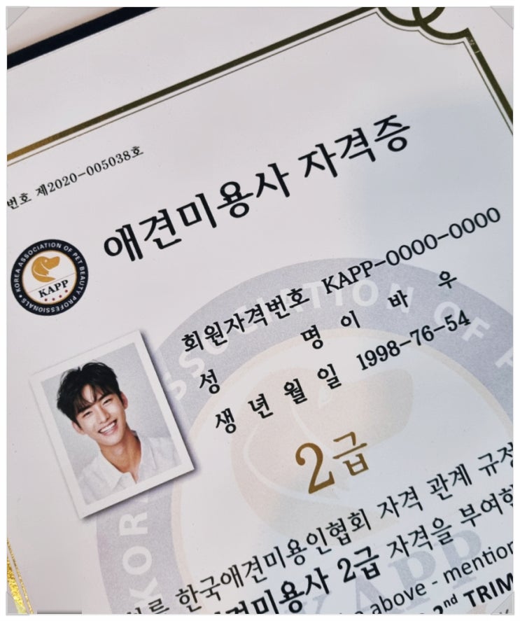  일산 애견미용자격증 3급 현실 시험일정 알아봐요