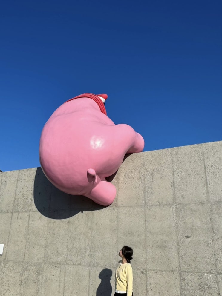  칠곡 대형 카페 베이커리 맛집 디브몽트