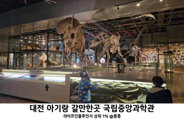  대전 국립 중앙 과학관 실내 겨울 아기랑 갈만한곳 자연사관 공룡 박물관 인류관 입장료 주차 꿀팁