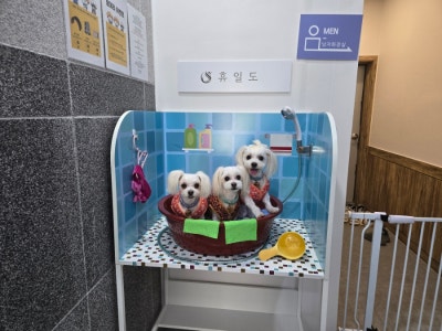 사진 2