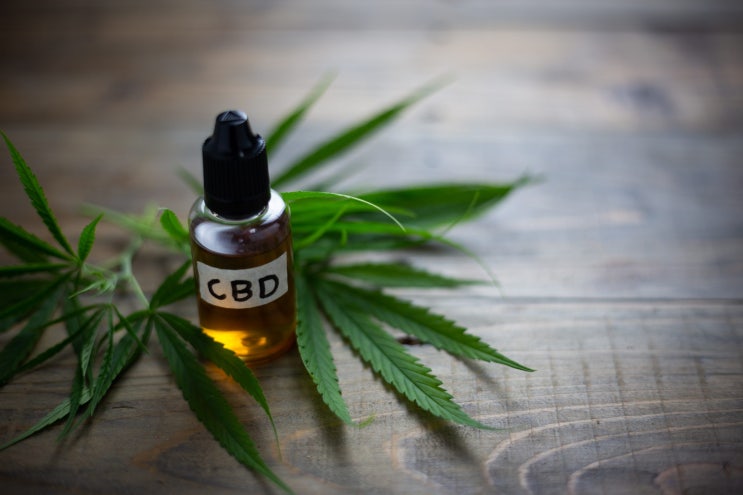  CBD 오일의 과학적 효능과 사용법