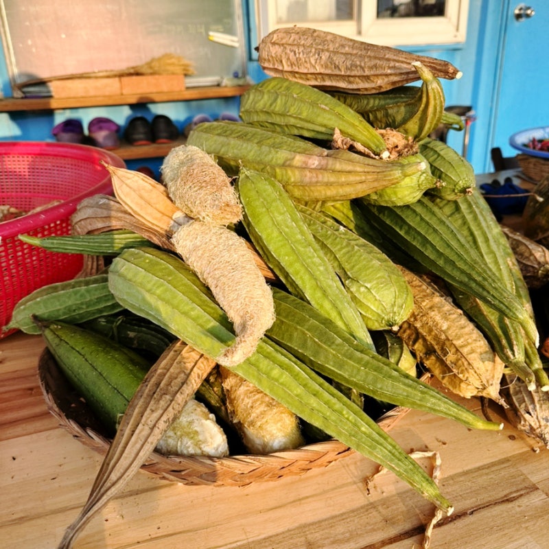 천연수세미 사용법, 국산천연수세미 비교(한살림vs창대농원)