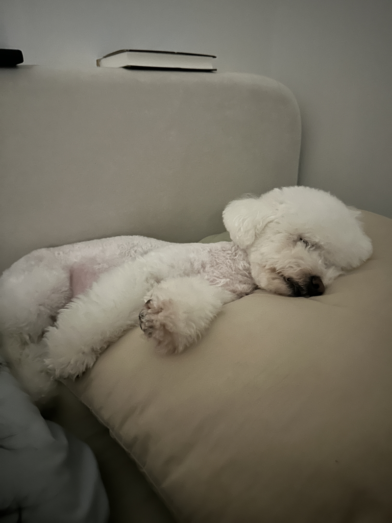 사진 4